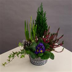 Christmas Outdoor Planter