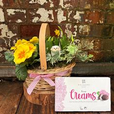 Easter spring planter with chocolates